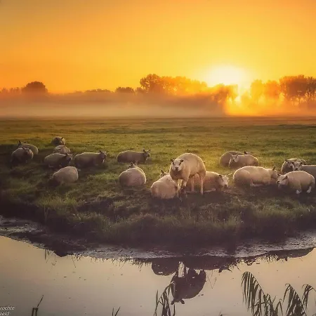 Valerius Boutique Otel Wormer