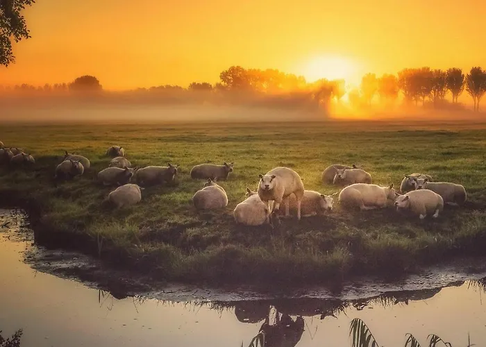 Valerius Boutique Hotel Wormer