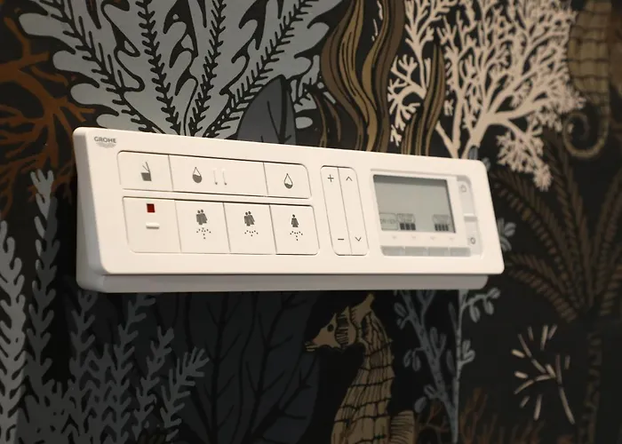 Valerius Boutique 호텔 3*