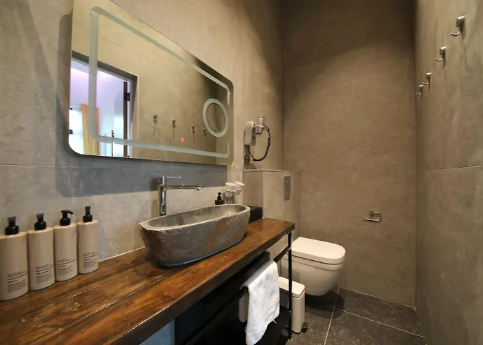 호텔 Valerius Boutique