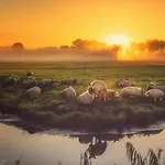 Valerius Boutique Hotel Wormer